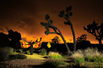 Image showing Person Light Painted in the Desert Under the Night Sky