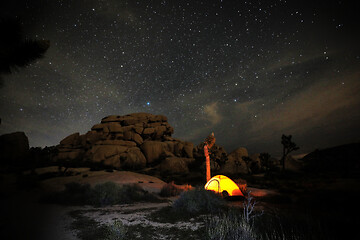 Image showing Person Light Painted in the Desert Under the Night Sky