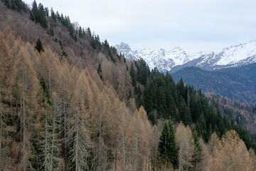 Image showing aerial snow covered mountain peaks in alps at winter 