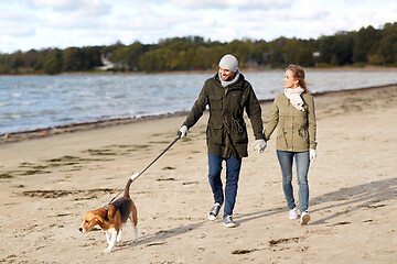 Image showing couple with beagle dog walking along autumn beach