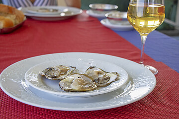 Image showing Oysters in ice on a white plate and glass of white wine