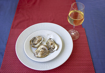 Image showing Oysters in ice on a white plate and glass of white wine