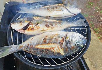 Image showing Grilled gilthead sea bream, dorada on the grill