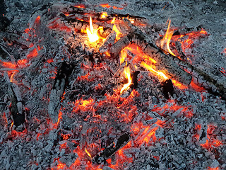 Image showing Glowing embers of burning wood log fire