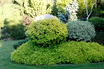 Image showing colorful spring garden