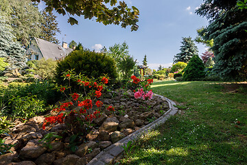 Image showing colorful spring garden