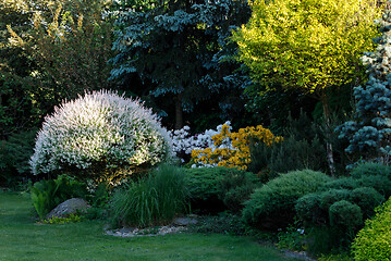 Image showing colorful spring garden