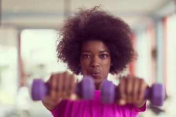 Image showing woman working out in a crossfit gym with dumbbells