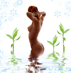 Image showing redhead nude in water with green plants