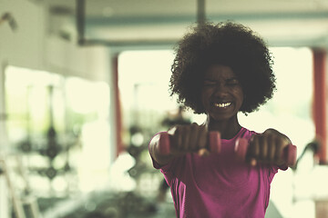 Image showing woman working out in a crossfit gym with dumbbells