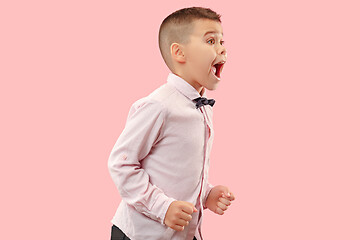 Image showing Isolated on pink young casual boy shouting at studio