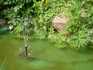 Image showing Fountain in pond