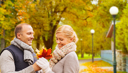 Image showing smiling couple in autumn park