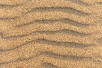 Image showing 
Wavy sea sand background