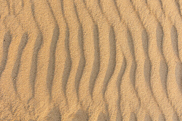 Image showing 
Wavy sea sand background