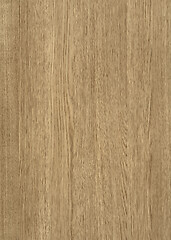 Image showing wood grain surface