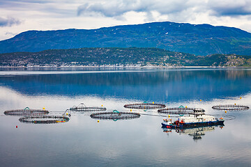 Image showing Farm salmon fishing in Norway