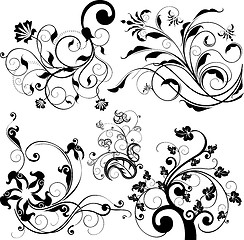 Image showing floral design elements