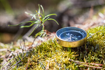 Image showing Traveller compass on the grass in the forest