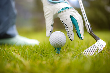 Image showing Hand in glove placing golf ball on tee