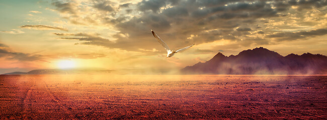 Image showing Mountains at surise Egypt