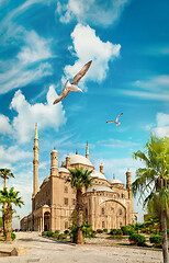 Image showing Muhammad Ali Pasha in Cairo