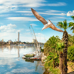 Image showing Cairo by day