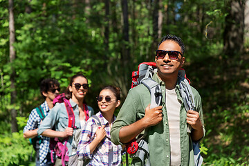 Image showing group of friends with backpacks hiking in forest