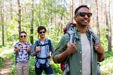 Image showing group of friends with backpacks hiking in forest