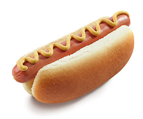 Image showing Hot dog with mustard