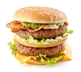 Image showing fresh tasty burger