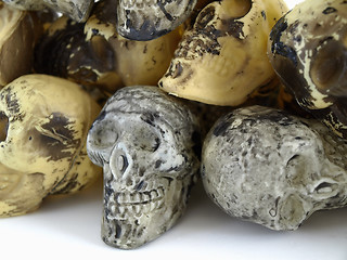 Image showing Toy Skull Wall