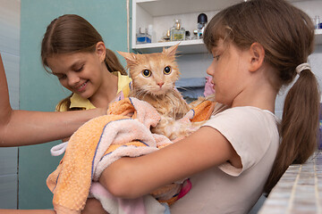 Image showing Mom and children wipe a wet domestic cat with a towel