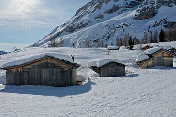 Image showing aerial snow covered mountain peaks in alps at winter 