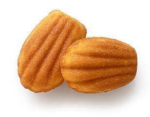 Image showing freshly baked Madeleines cakes