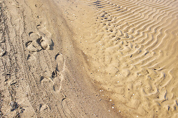 Image showing sea sand background