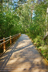 Image showing wooden nature trail 