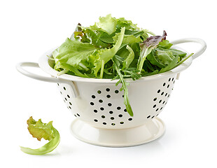 Image showing fresh green lettuce leaves in colander