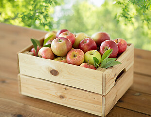 Image showing ripe apples in wooden box on table