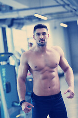 Image showing handsome man exercising at the gym