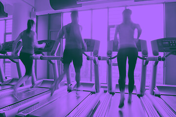 Image showing Group of people running on treadmills