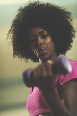 Image showing woman working out in a crossfit gym with dumbbells