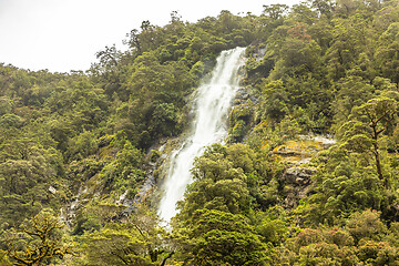 Image showing Fiordland National Park New Zealand