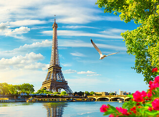 Image showing Seine in Paris with Eiffel Tower