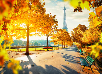 Image showing Eiffel Tower in autumn