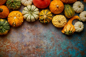 Image showing Different kinds colorful mini pumpkins placed on rusty backgroun