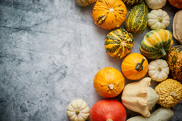 Image showing Beautiful colorful mini pumpkins on grac concrete background, ho