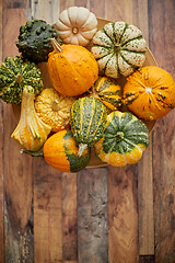 Image showing Decoration made from small pumpkins. Colored pumpkins in different varieties.