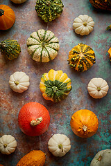 Image showing Various colorful mini pumpkins placed on rusty background