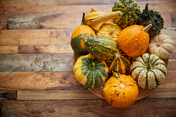 Image showing Decoration made from small pumpkins. Colored pumpkins in different varieties.